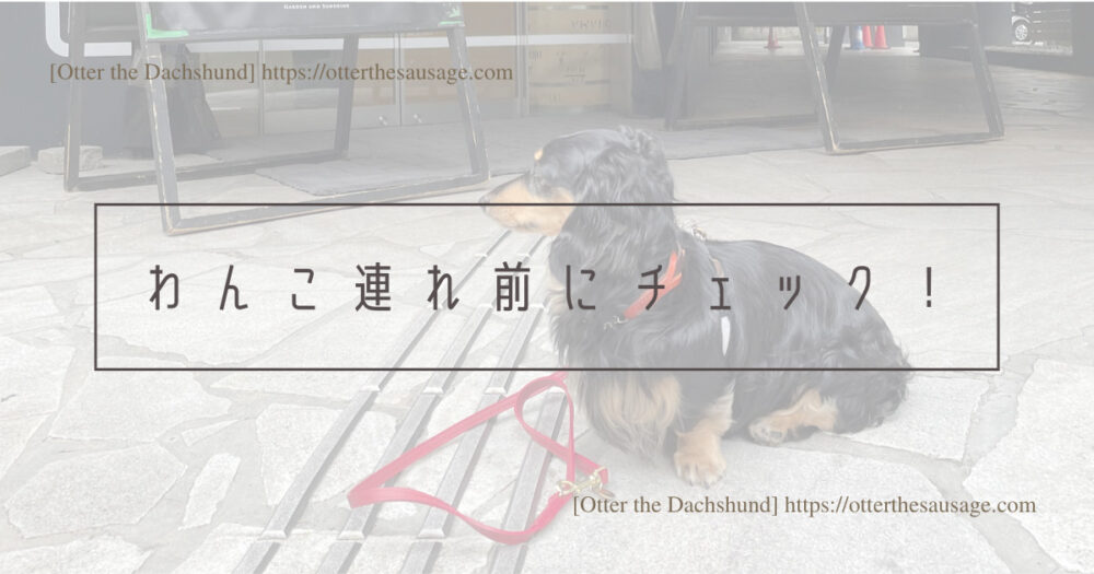 Header Image_Otter the Dachshund_hang out with dogs_犬旅ブログ_犬とお出かけブログ_Good Morning Cafe早稲田_ドッグフレンドリーカフェ_わんこ連れ前にチェック！